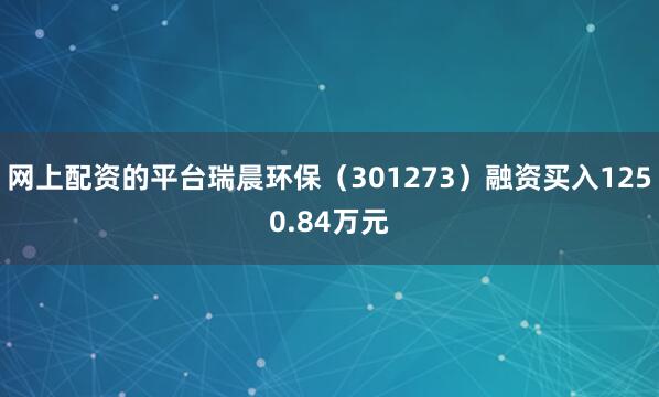 网上配资的平台瑞晨环保（301273）融资买入1250.84万元