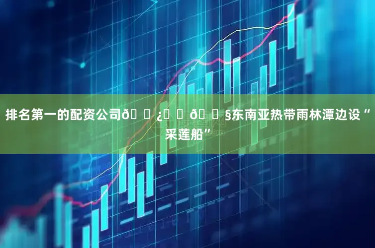 排名第一的配资公司🌿☕️💧东南亚热带雨林潭边设“采莲船”