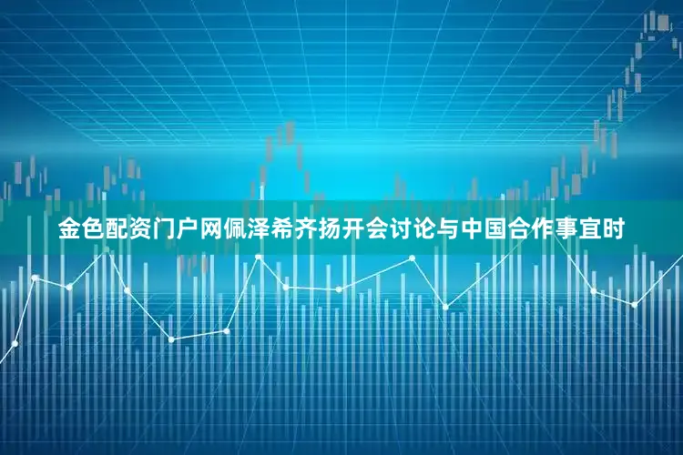 金色配资门户网佩泽希齐扬开会讨论与中国合作事宜时